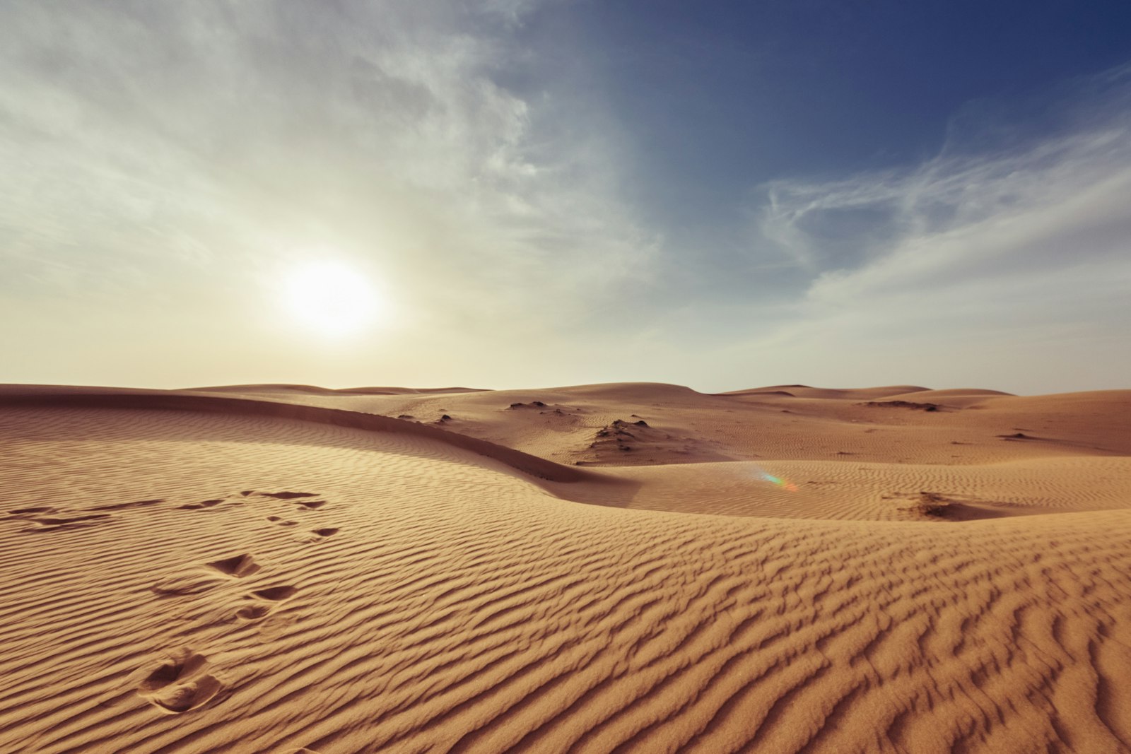 Siwa Oasis eclipse